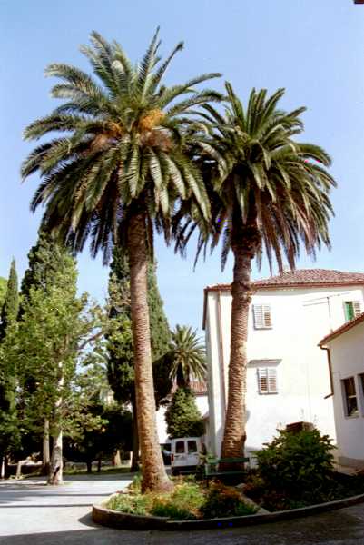 Kurhaus Veli Losinj