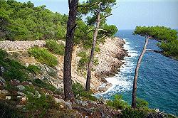 ein tolles Bild von der Insel Losinj in Kroatien