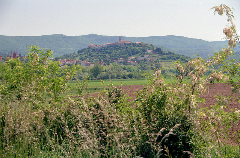 alte Dörfer im grünen Istrien