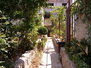 Appartement ercilia3
