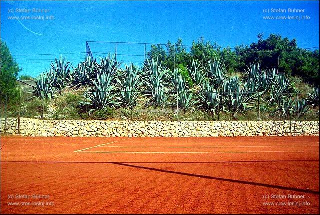 ein Tenisplatz in Mali Losinj