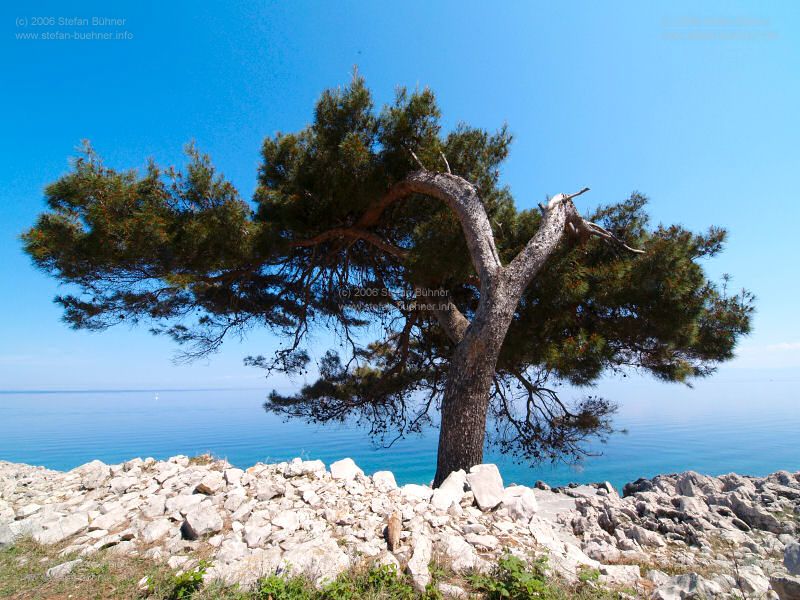 Losinj im weiten Winkel - April 2006