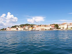 im Hafen von Mali Losinj