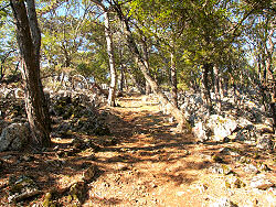 Wanderung zum Osorscica 2006