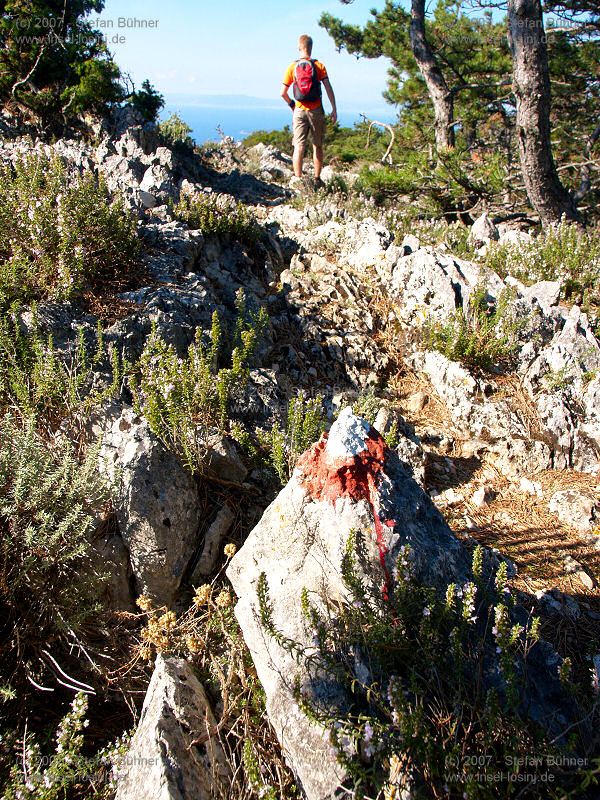 Wanderung zum Osorscica 2006