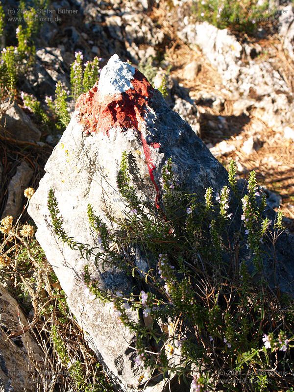 Wanderung zum Osorscica 2006