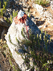 Wanderung zum Osorscica 2006