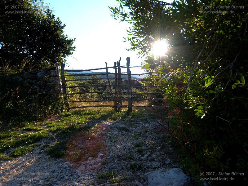 der Gebirgszug des Osorscica bei Nerezine / Osor auf der Insel Losinj