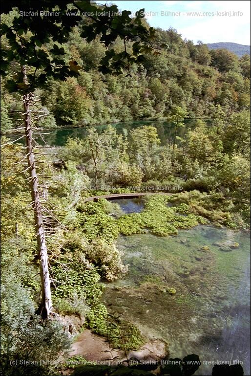 die Plitvicer Seen in Kroatien
