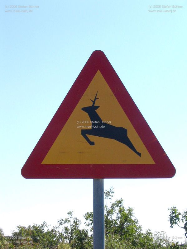 Verkehrsregeln die man ernst nehmen sollte auf Punta Kriza