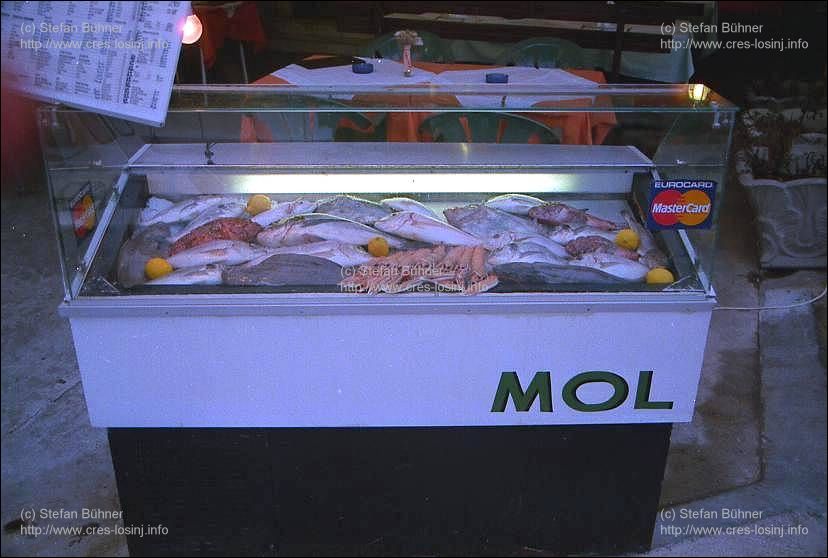 frischer Fisch der Gaststätte Konoba Mol im Hafen Rovenska bei Veli Losinj